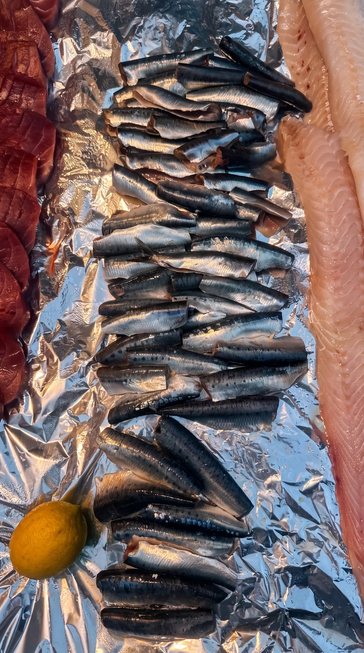 Des sardines fraîches alignées sur l'étal, à côté de filets de thon et de poisson blanc, un citron.